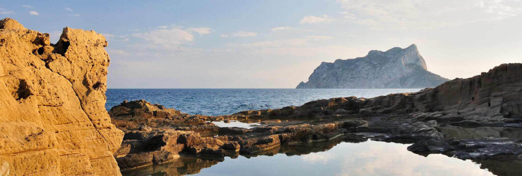 banner image6